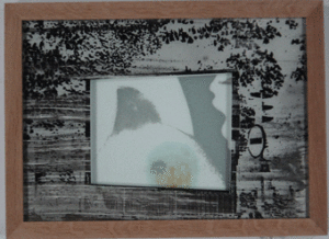 Ombilic en icône à la faveur de l’oxyde, 2005 4 formats 33/43 en pièce unique, verre, sérigraphie, sel.