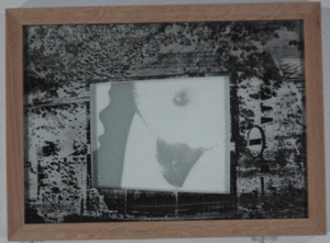 Ombilic en icône à la faveur de l’oxyde, 2005 4 formats 33/43 en pièce unique, verre, sérigraphie, sel.