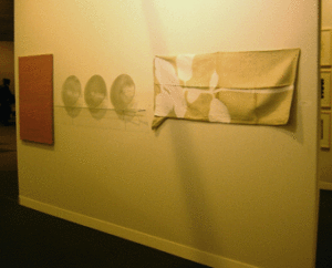 Bernard Moninot, L'œuvre en situation à la Fiac 2005.