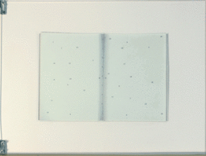 Il a fallu que je naisse pour te perdre un peu moins ”, 2006 Sérigraphie originale sur altuglas recto-verso Format 45/60 cm. 5 exemplaires vendus avec un certificat.